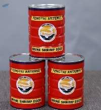 High Quality Artemia Cysts