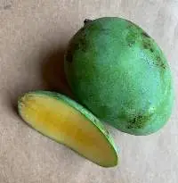 Organic Mango Langda
