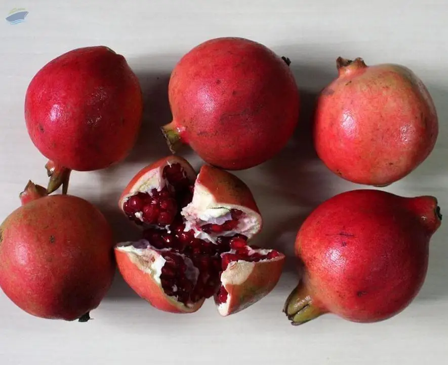 Organic Pomegranate