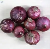 Organic Red Onion