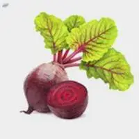 Beetroot