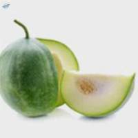 Ash Gourd