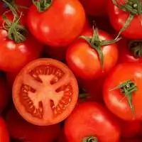 Tomato