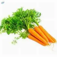 Carrot