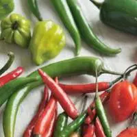 Chilli