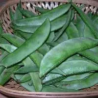 Broad Beans