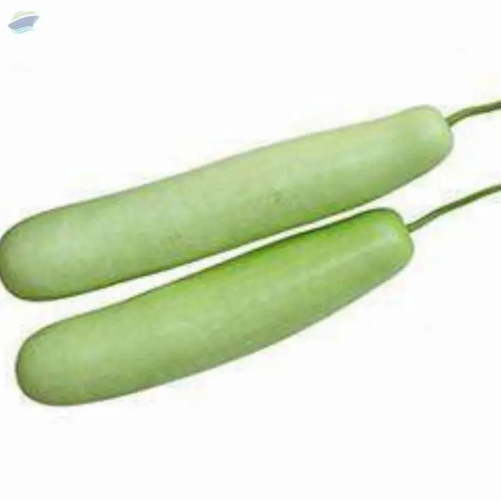 Bottle Gourd