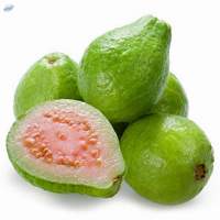 Guava