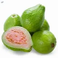 Guava