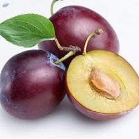 Plum