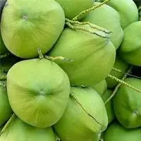 Green Coconut