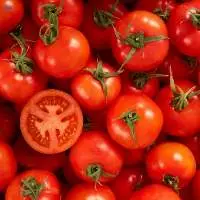 Tomato