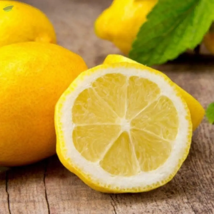 Lemon