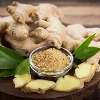 Ginger