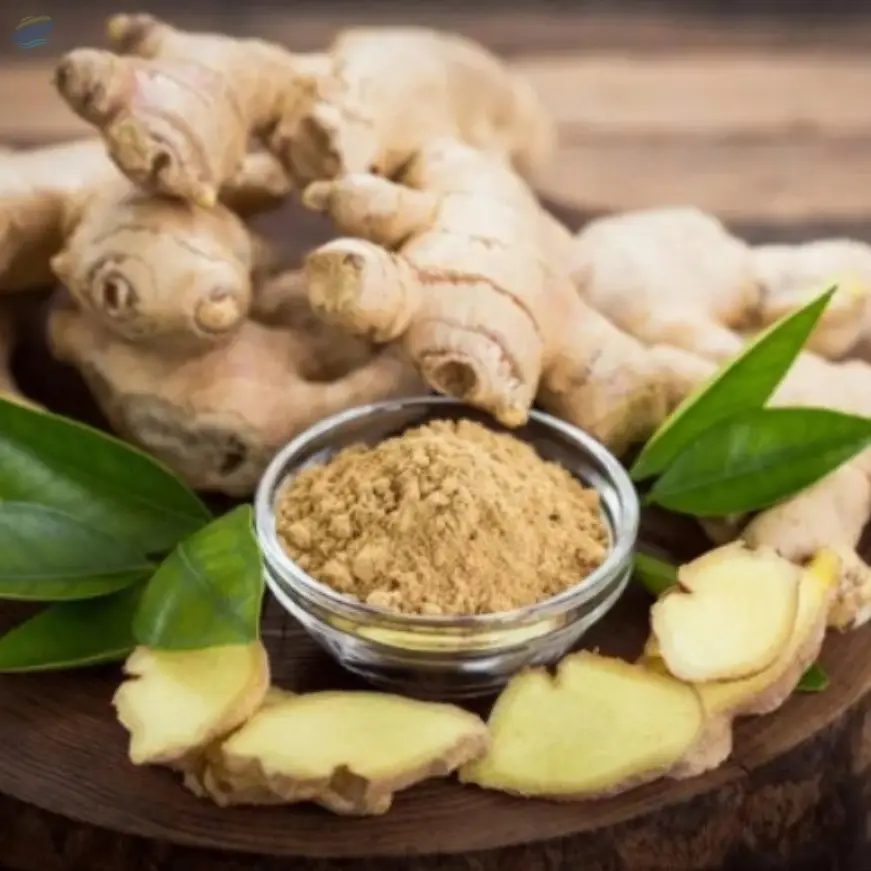 Ginger