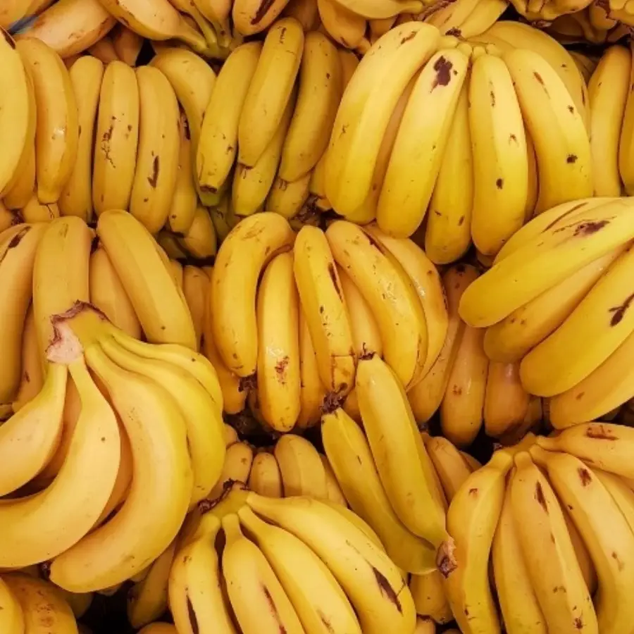 Banana