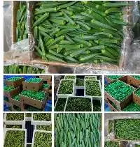Fresh Vegetables