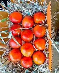 Fresh Fruits