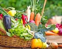 Fresh Vegetables