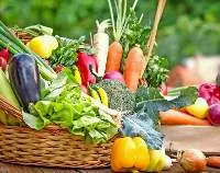 Fresh Vegetables