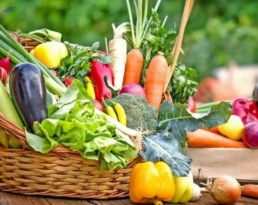Fresh Vegetables