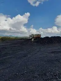 Coal