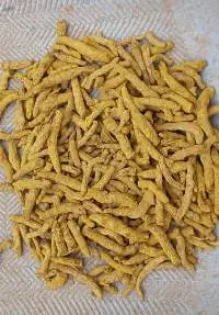 Natuaral And Organic Turmeric Finger