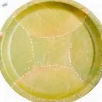 Leaf Plates For Food Serving