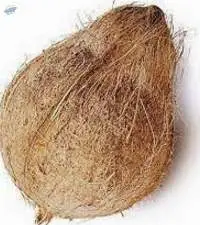 Semi Husked Coconut