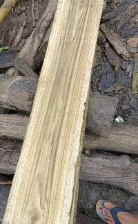 Wood ( Indian Wood )