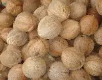 De husked coconut