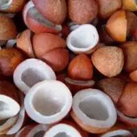 Coconut Copra