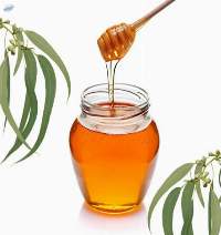 Eucalyptus Honey  