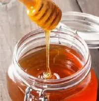 Forest Raw Honey  