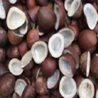 Coconut Copra