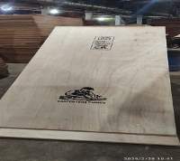 Plywood