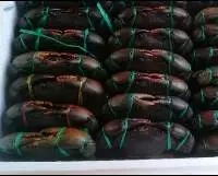 Live Crab