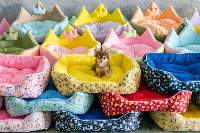 Pet Beds, Pet Accesories