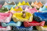 Pet Beds, Pet Accesories