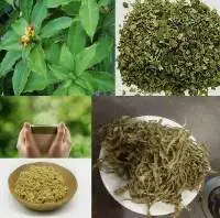 Insulin Leaf Tea