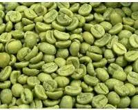 Green Coffee Powder