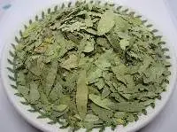 Senna Leaves