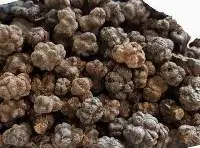 Dried Noni Fruit