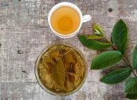 Guava Leaf Tea