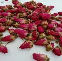 Rose Buds
