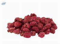 Raspberry Powder