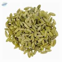 Mexican Pumpkin Seed