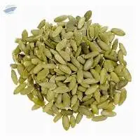 Mexican Pumpkin Seed