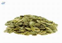 European Pumpkin Seed