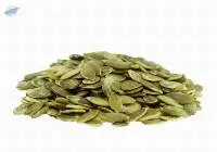 European Pumpkin Seed